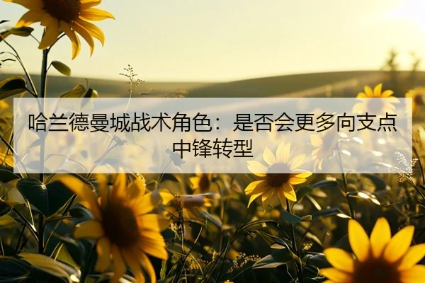 哈兰德曼城战术角色：是否会更多向支点中锋转型
