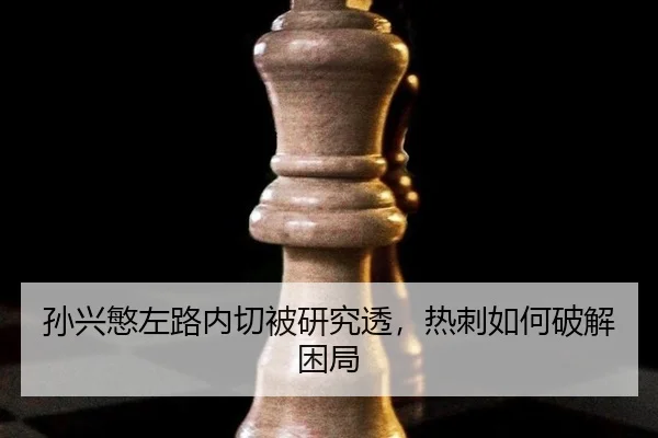 sun-xing-min-zuo-lu-nei-qie-bei-yan-jiu-tou-re-ci-ru-he-po-jie-kun-ju-3-100.jpg